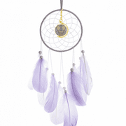 Europe Rococo Style Lines Pattern Dream Catcher Wall Hanging Feather Decor