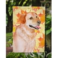 thumbnail image 3 of Carolines Treasures BB9975GF Labrador Retriever Drapeau d'Automne - Taille Jardin, 3 of 3