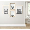 thumbnail image 6 of Kate and Laurel Sylvie Deer, Wolf, Bear European and Cervus Elaphus The Red Deer Black and White Framed Canvas Wall Art Set by Simon Te of Tai Prints, 4 Piece Set Natural, Animal Portrait Art, 6 of 6