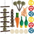 thumbnail image 1 of 18 Piezas De Juguetes Para Masticar Conejos, Juguetes Para Masticar Conejitos Para Moler Los Dientes, Salud Dental, Bola De Hierba De Madera, Cadena De Lufa, Juguetes De Zanahoria Para Hámsters, Chinc Muyoka Hogar, 1 of 1