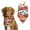 Denver-2, variant on New York Pet Bandana for Dogs Cats Football Adjustable Triangle Bid Scarf for Game Day Dog Christmas Gifts