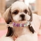thumbnail image 5 of Apuakthei - Juego de 2 collares de perlas, bonitos collares para perros, gatos, cachorros, gatitos, bodas, fiestas de cumpleaños (M), 5 of 5