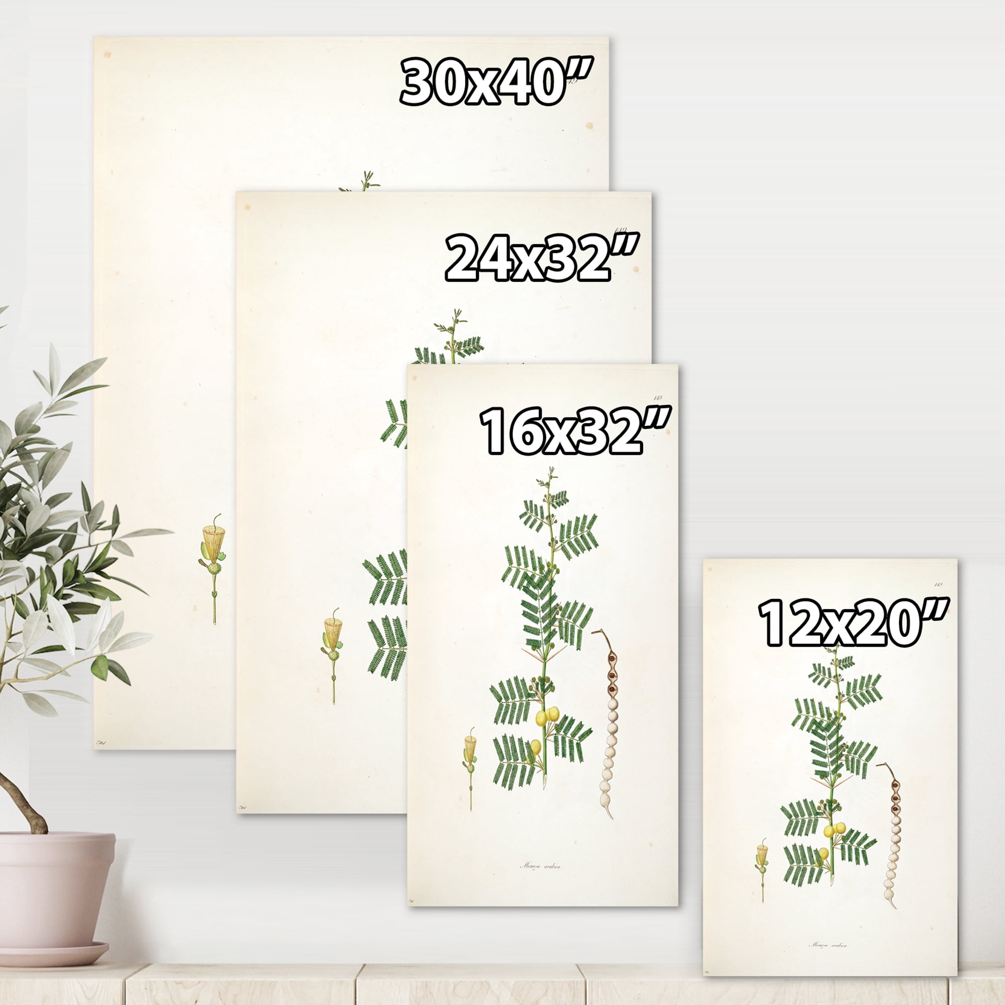 Designart ' Ancient Blossoming Flower III ' Farmhouse Canvas Wall Art Print