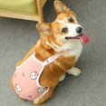 thumbnail image 5 of Pantalones fisiológicos unisex para mascotas, ropa interior para perros, pañales para cachorros, bragas sanitarias para mujeres, pantalones cortos para bulldog y pug, 5 of 5