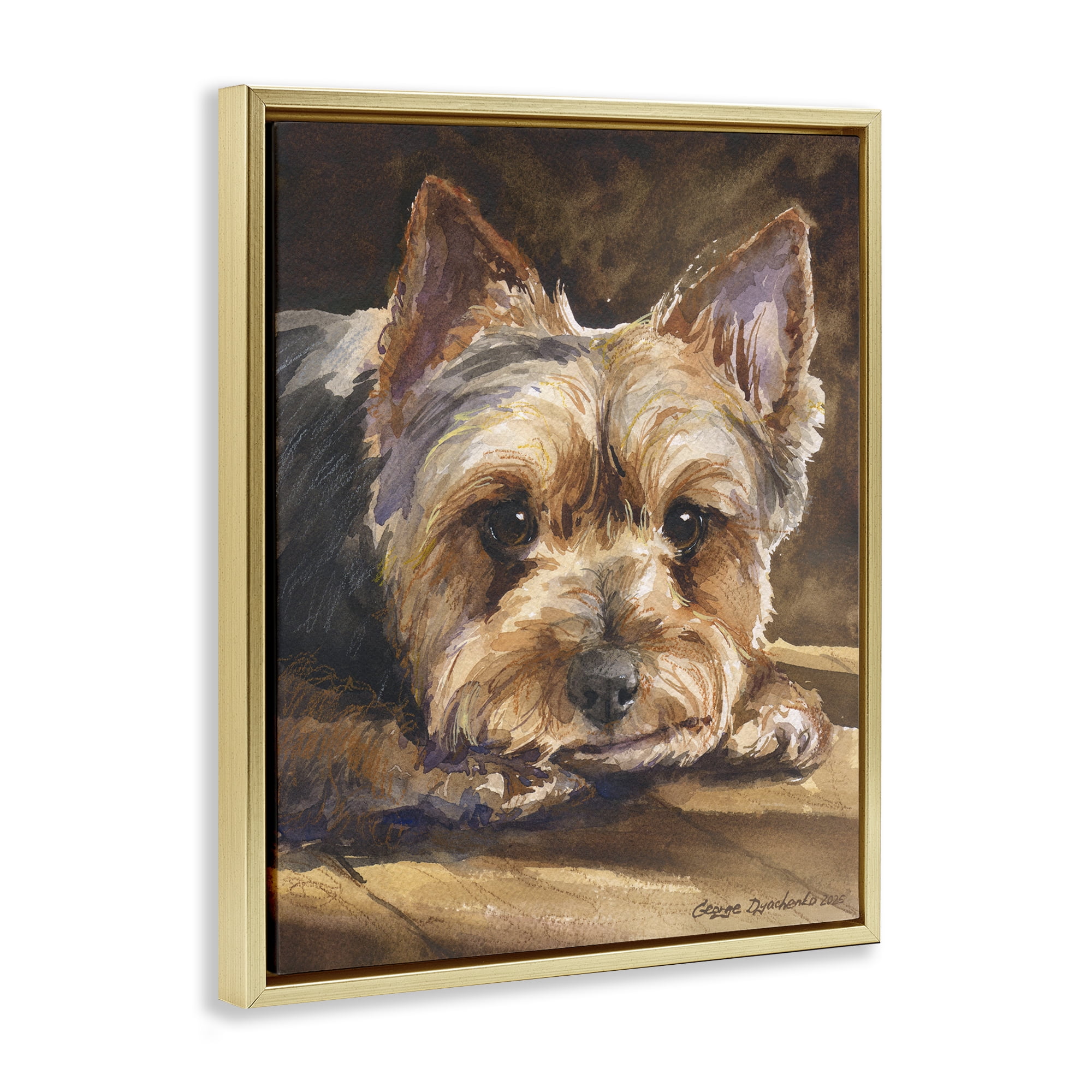 Stupell Industries Yorkshire Terrier Portrait Gold Framed Floater Canvas Wall Art, design by George Dyachenko