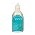 thumbnail image 1 of Jason Purifying Tea Tree Pure Natural Hand Soap, 1 of 3