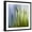 Black Frame, variant on Art.com Moss Photographic Print by Ursula Abresch, 24" x 24"