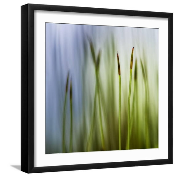Art.com Moss Photographic Print by Ursula Abresch, Black Frame Wall Art, 21" x 21"