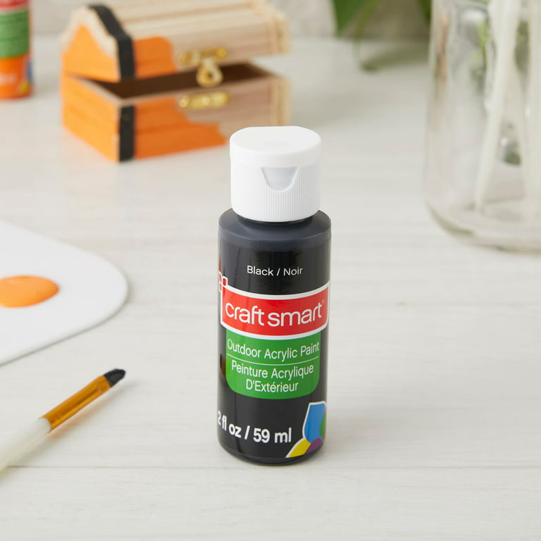 12 Pack: Outdoor Acrylic Paint by Craft Smart® 
