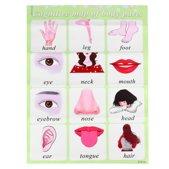 English Words Wall Chart Baby Educational Toys Preschool Teaching Tool