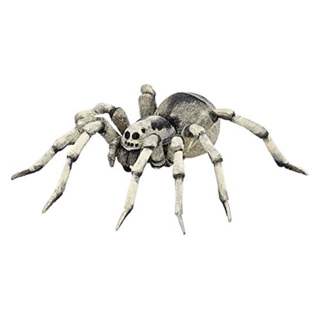 tarantula figure