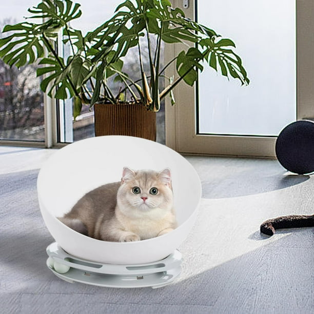 Cama para gatos, muebles cómodos para gatos, suministros para