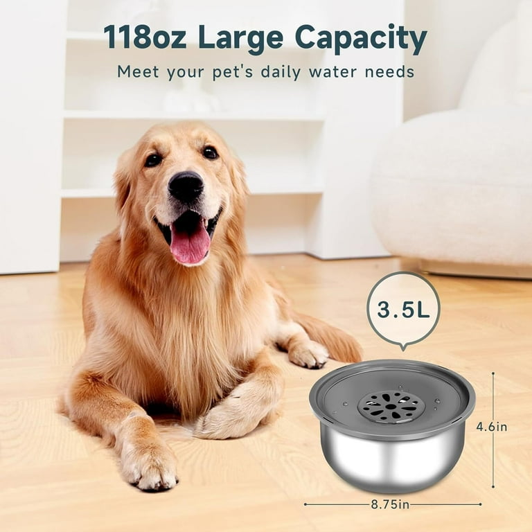 Messy drinker dog bowl hotsell