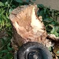 thumbnail image 5 of 1Pc 4Inch Wood Grinder Wheel Disc, Wood Shaping Wheel, Grinding Wheel Carving Abrasive Disc for WoodworkingGrinders (Black), 5 of 6