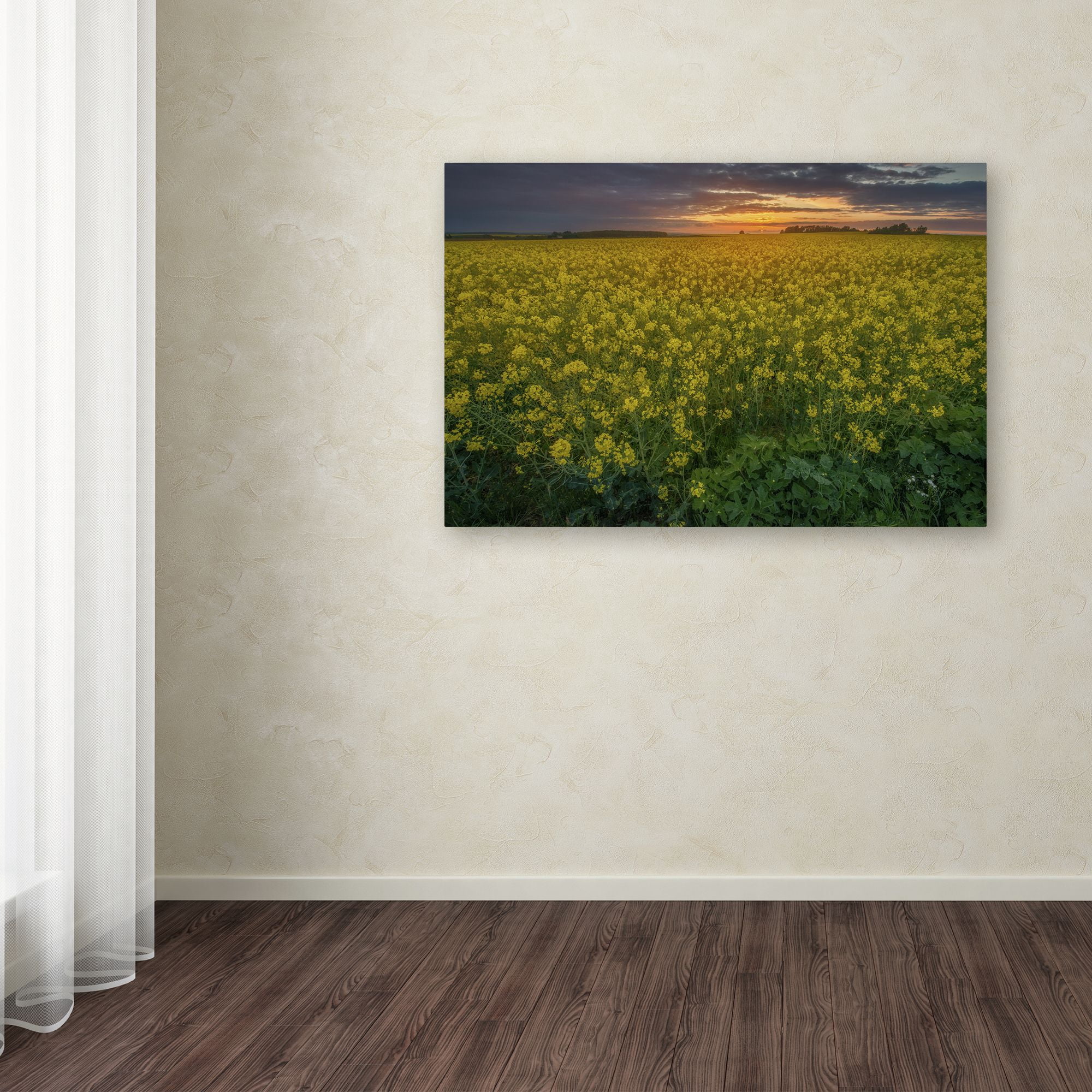 Mathieu Rivrin 'Yellow Planet' Canvas Art 16 x 24