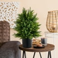thumbnail image 3 of Costway 22'' Artificial Cedar Topiary Ball Tree 2-Pack Faux Shrub Bush Trees for Decor, 3 of 9