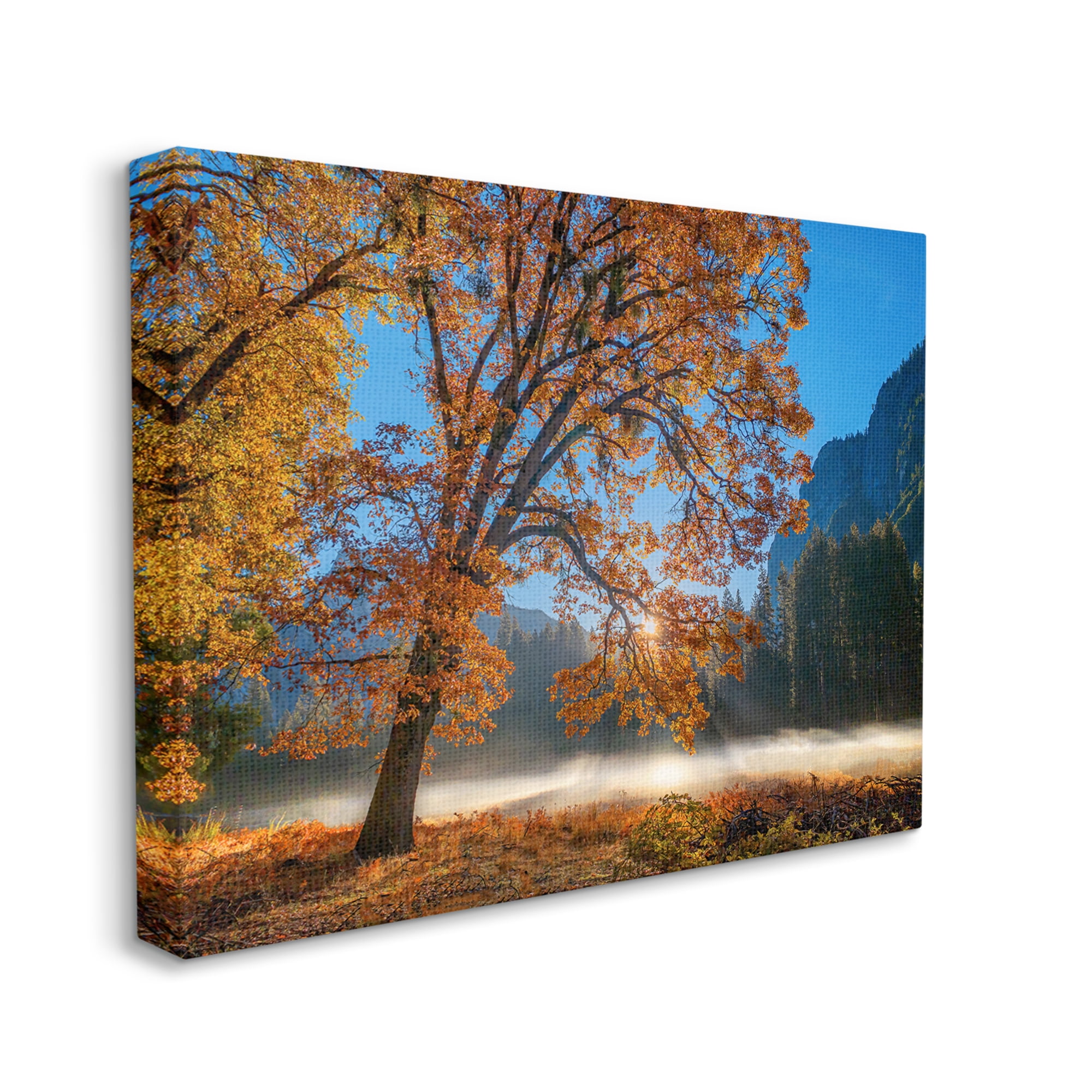 Stupell Industries Autumn Trees Foliage Beautiful Sun Rays Peeking Horizon Canvas Wall Art, 48 x 36, Design by John Gavrilis