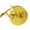 Style 1, variant on WINDLAND Elegant Metallic Ribbon Uniforms Fashion Clothes Bias Banding Sewing Trim