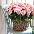 thumbnail image 2 of Morttic 2 Pcs Artificial Geraniums for Outdoor Silk Geranium Flowers Red Artificial Geranium Bush Faux Flowers Geraniums Branch for Garden Patio Grave Cemetary Vase Table Centerpiece Indoor Decor, 2 of 6