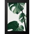 thumbnail image 1 of Artographie Studio 17x24 Black Modern Framed Museum Art Print Titled - Monstera Natural 37, 1 of 4