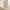 Light Pink, variant on JUSTLET 61-inch DIY Multi-Level Cat Tree Tower with Scratching Posts, Purple