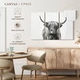 thumbnail image 4 of Elephant Stock Highland Bull I Wall Art - Horizontal Multi Panel Canvas - Living Room Wall Decor - Animal Multi Panel - Black And Gray Decor By Sisi And Seb - 23" x 14", 4 of 4