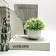 thumbnail image 4 of Wosthever 2 uds plantas de simulación en maceta de plástico que añaden belleza y estilo a cualquier entorno pastos falsos para decoración Decoración Blanco claro, 4 of 6