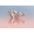 thumbnail image 2 of Rublina, Natalia 24x17 White Modern Wood Framed Museum Art Print Titled - Two Pelicans, 2 of 4