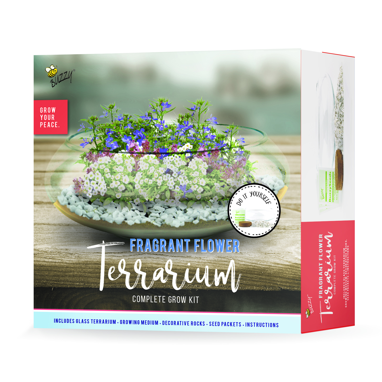 Buzzy Glass Terrarium Grow Kit Guaranteed to Grow Flower