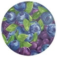 thumbnail image 3 of Ryvnso Blueberries Berries Round Plate Mats Dining Table Placemat Set of 4 for Holiday Decoration, 3 of 7