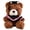 Dark brown bear powd, variant on Soft Plush Doctor Bear 23cm Graduation Bear Gift for Graduation and Educators Cherishes Special Moment