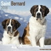 St Bernard Calendar 2018 - Dog Breed Calendar - Wall Calendar 2017-2018