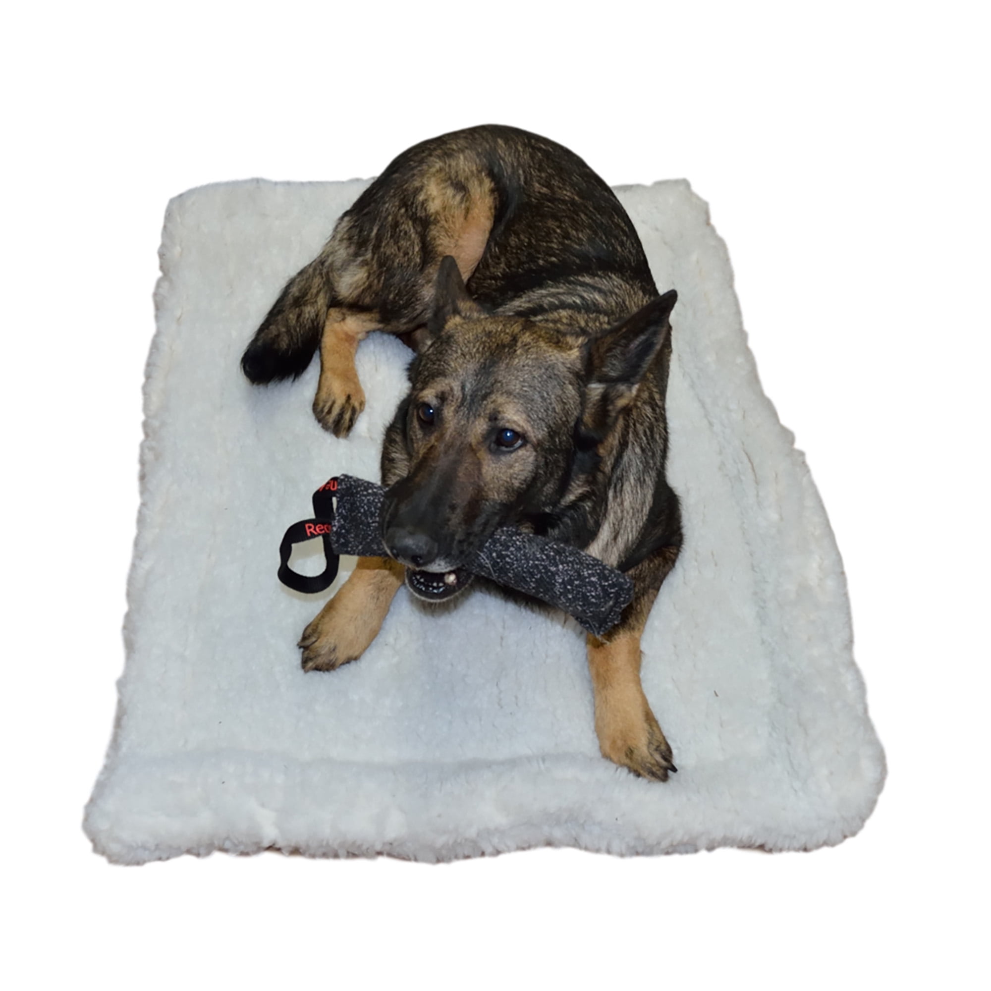 Double Sided Sherpa Dog Bed 2 Thick Layers