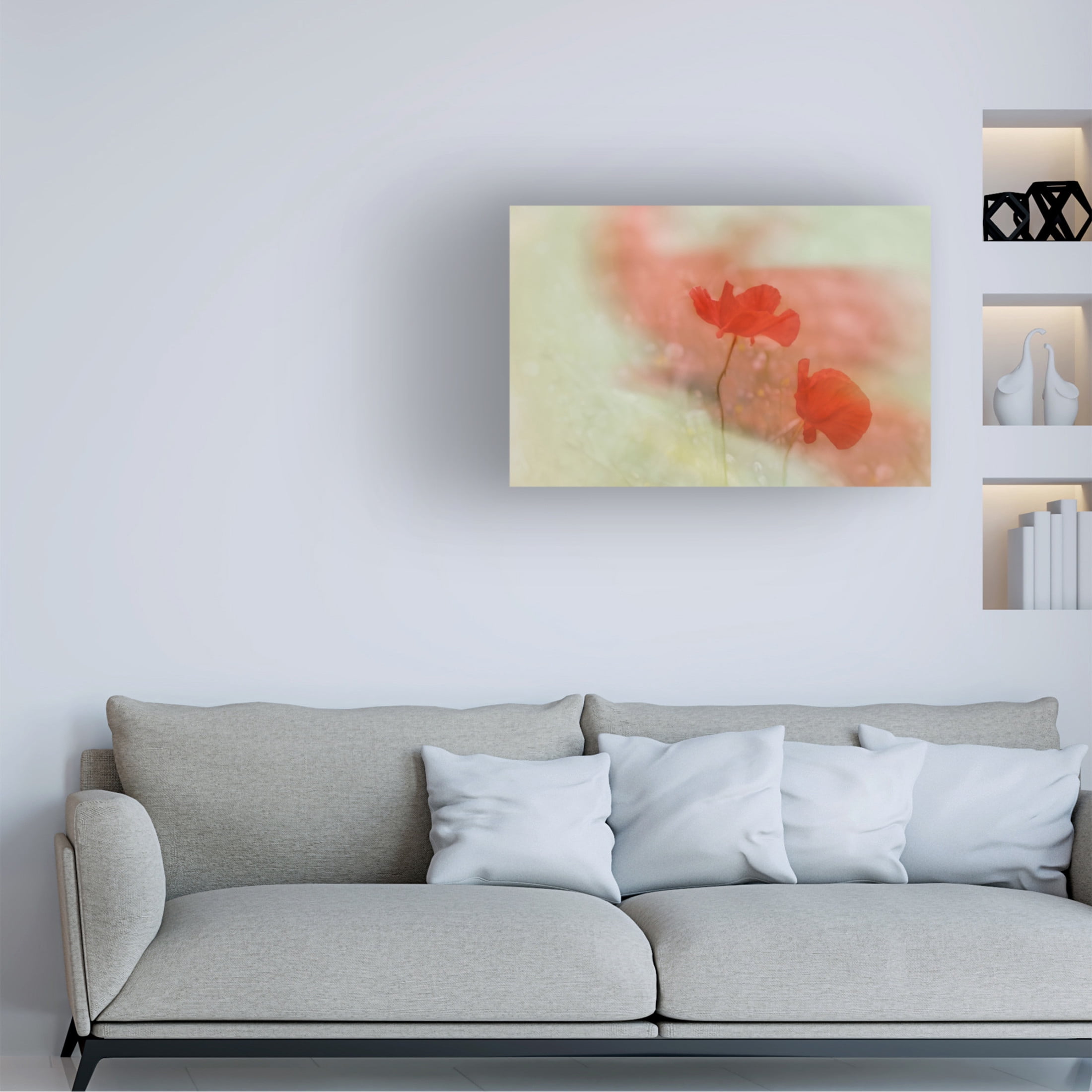 Trademark Fine Art Marie anne Stas Poppy 2 Canvas Wall Art