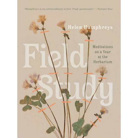 Field Study : Meditations on a Year at the Herbarium (Hardcover)