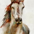 thumbnail image 3 of Masterpiece Art Gallery Spirit Horse By Studio Arts Canvas Art Print 22" x 28", 3 of 4