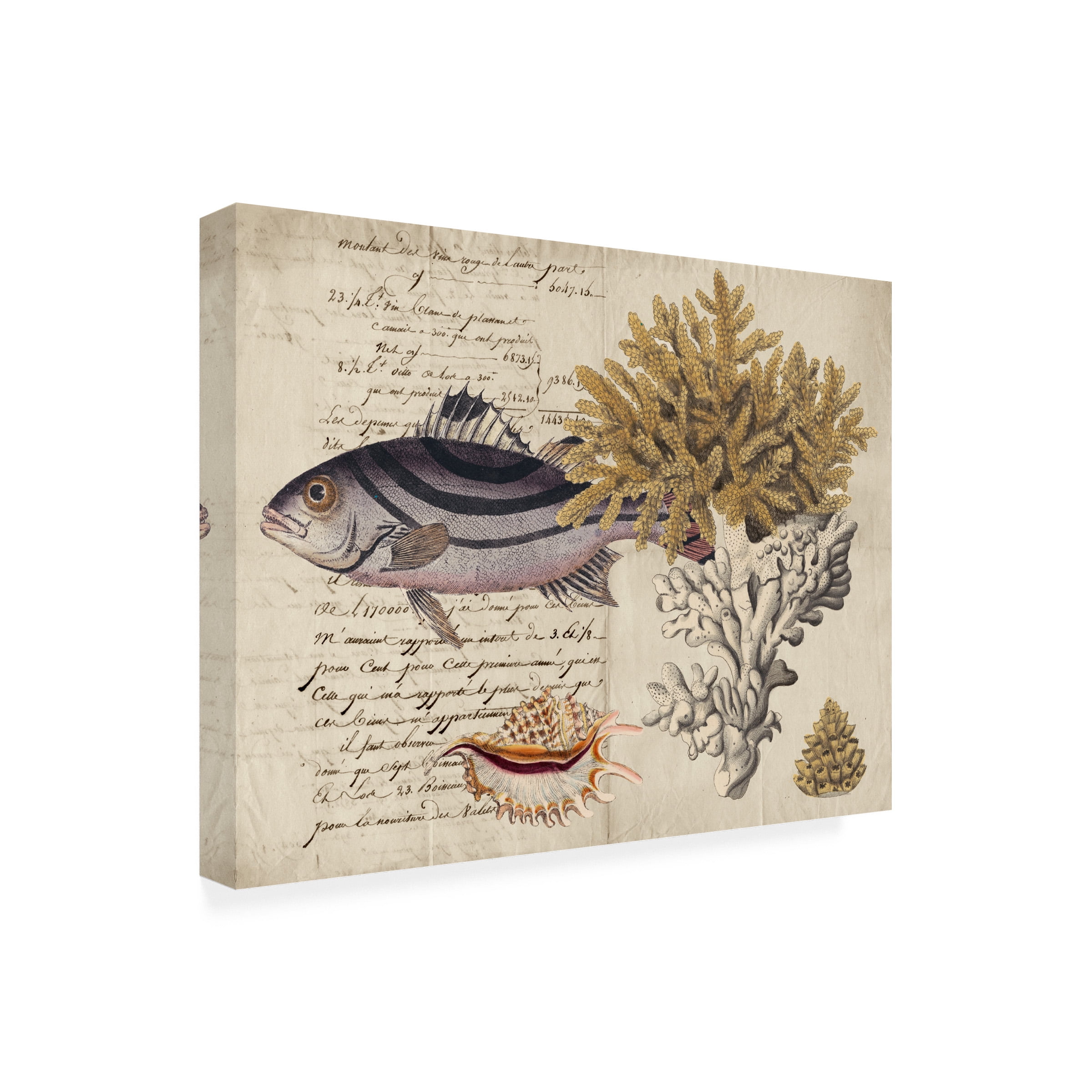 Vision Studio 'Sea Life Journal III' Outdoor Canvas 14x19