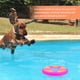 thumbnail image 3 of BRIGHTFUFU PET interactivo juguete perro volando disco juguete silicona fetch juguete masticar juguete, 3 of 7