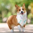 thumbnail image 2 of TIELUTT Cartoon Pet Easter Bone Dog Pet Bib Dog Triangle Bandana Pet Accessory Cute and Suitable for Multiple Uses Reflective Dog Custom Dog Dog Custom Dog Colors Dog Name Christmas, 2 of 4