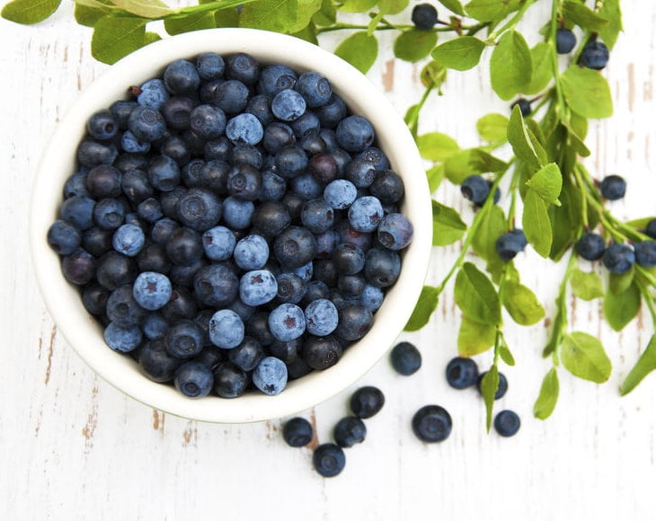 Organic Dried Blueberries, 4 Pounds — Non-GMO, Kosher, Raw, Vegan — by Food to Live