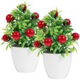 thumbnail image 3 of Here's a polished and professional product description based on your input:\n\n \n\n**2PCS Artificial Fruit Tree with Pot – Lifelike Miniature Bonsai, 3 of 5