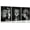 NO.0621, variant on Black and White Lion Family Triptych Wall Art Canvas Paintings Animal Posters Prints Pictures Wall Decor for Bedroom Living Room Office Decoration