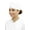 White, variant on Classic C55 Skull Chef Cap