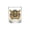 D, variant on America 250th Anniversary âWe The Peopleâ Heritage Glass Cup, Declaration Of Independence Printed Glasses For Liquor Scotch Bourbon Or Father's Day Patriotic Gift 1776-2026 (Eagle)