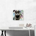 thumbnail image 2 of ARTCANVAS Scottish Fold Cat Breed Canvas Art Print - Size: 12" x 12" (0.75" Deep), 2 of 9