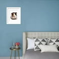thumbnail image 3 of Domestic Guinea Pig Cavia porcellus adult, Framed Art Print Wall Art by Chris Brignell Sold by Art.Com, 3 of 5