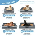 thumbnail image 4 of PayUSD Dog Beds for Large Medium Small Dogs Orthopedic Pet Bed Sofa Supportive Egg Crate Foam Animal Couch with Removable Washable Cover Non Skid Bottom S to XL, 4 of 9