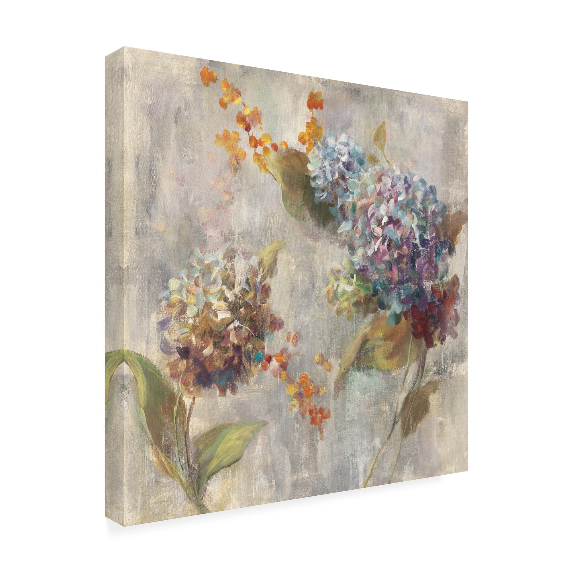 Trademark Fine Art 'Autumn Hydrangea II' Canvas Art by Danhui Nai