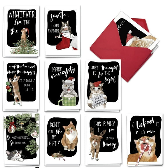 NobleWorks 20 Assorted set Funny Christmas Greeting Cards w/5 x 7 Inch Envelopes (10 Designs, 2 Each) Holiday Cat Antics AC3459XSG-B2x10