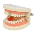 thumbnail image 3 of Single Teeth Grillz Cap Set Decorative Creative Bottom Grill Top Teeth Grillz, 3 of 10